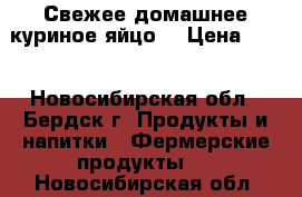 Свежее домашнее куриное яйцо. › Цена ­ 75 - Новосибирская обл., Бердск г. Продукты и напитки » Фермерские продукты   . Новосибирская обл.